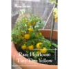 Super Rare Heirloom Tiny Tim Yellow Tomato seeds 30 seed Pot Friendly Tumbling Tom Mango Garden