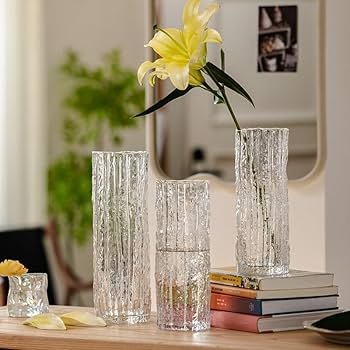 61zcKxQn2kL._AC_UF350,350_QL80_ READY STOCK MONN 25cm European Style Clear Vase for Home Office Flower Deco Pasu Bunga Lutsinar European