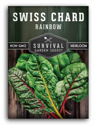 Easy Rainbow Swiss Chard Seeds 30 Seed Pot Friendly Mix Seeds Mango Garden Seeds