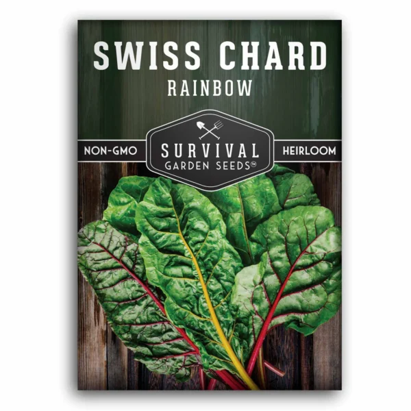 Easy Rainbow Swiss Chard Seeds 30 Seed Pot Friendly Mix Seeds Mango Garden Seeds