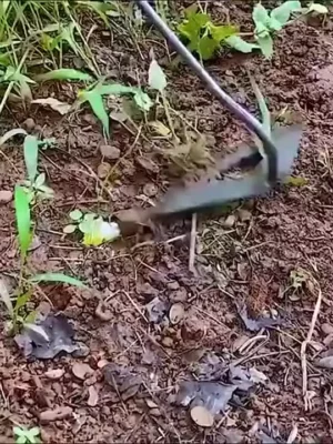 Handheld Garden Small Hoe Household Weeding Rake Vegetable Planting Farm Garden Agricultural Tools Weeding Accessory