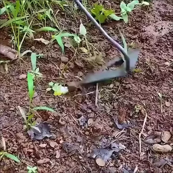 Handheld Garden Small Hoe Household Weeding Rake Vegetable Planting Farm Garden Agricultural Tools Weeding Accessory