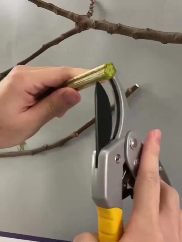 Garden Pruning Shears Gardening Professional Grafting Scissors Twig Vine Fruit Tree Gardening Kit Spring Handles