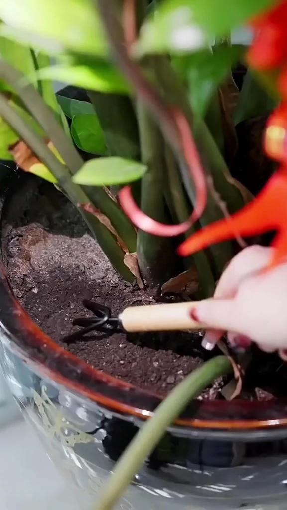 Set Of 3 Gardening Hand Narrow Head Trowel Wooden Handle Garden Tool Shovel