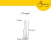 READY STOCK MONN European Minimalist Style Clear Vase for Home Office Flower Deco