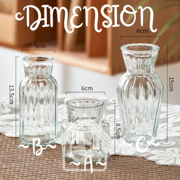 GLASS Nordic Transparent Home Office Display Deco Flower Vase Dry Vase Pasu Kaca Bunga Lut Sinar