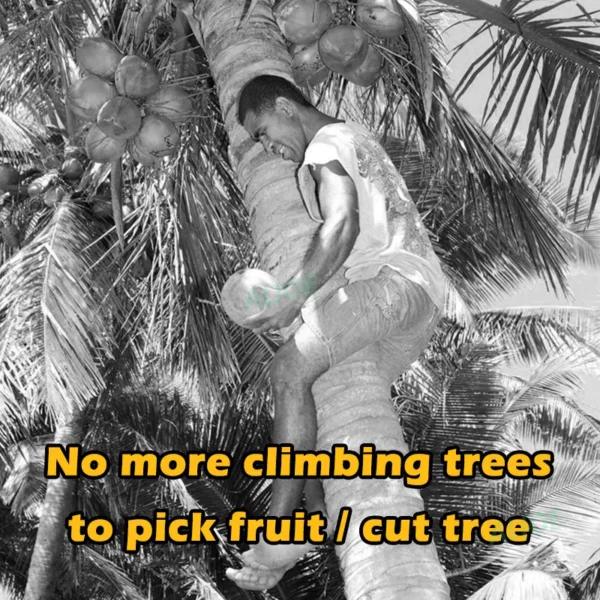my-11134207-7rasd-mac3o8gjk3bb0c.webp SANTINO 7M Telescopic High Pruning Branch Shears Saw Cutter Kelapa Fruit Picker Viral