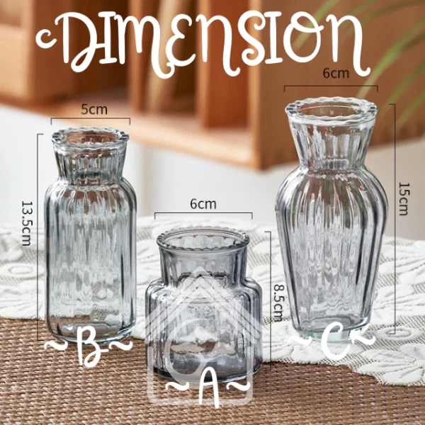 GLASS Nordic Transparent Home Office Display Deco Flower Vase Dry Vase Pasu Kaca Bunga Lut Sinar