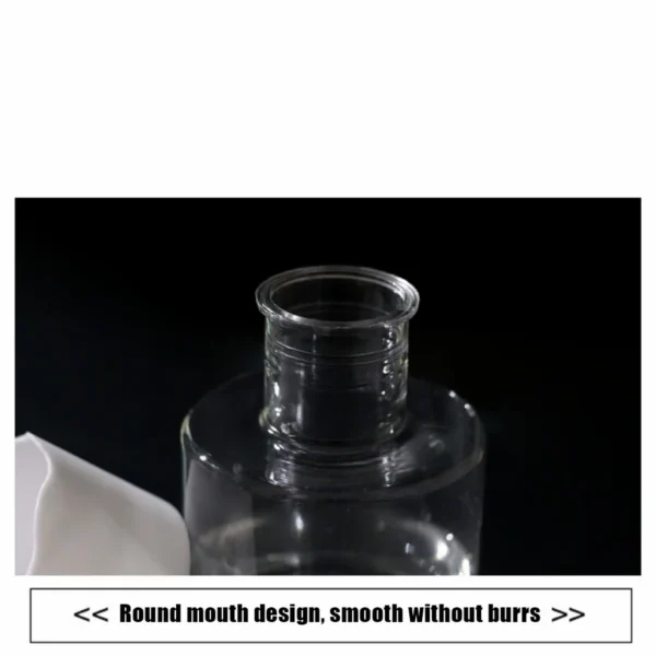 Self Absorption Plant Hydroponic Flower Pot Pasu Bunga Hidroponik Soilless Culture Bottle vase INS Decor