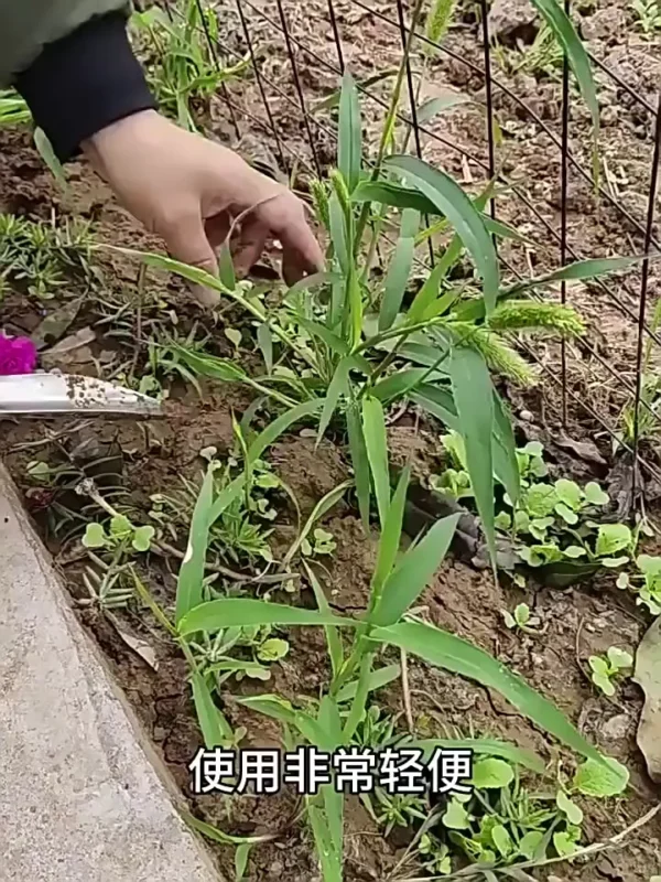 2 pcs Gardening Shovel Set stainless steel gardening shovel