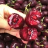 Sweet Cherry Seeds for Planting 10 seeds bag Bonsai Fruit Tree Live Plant Seed