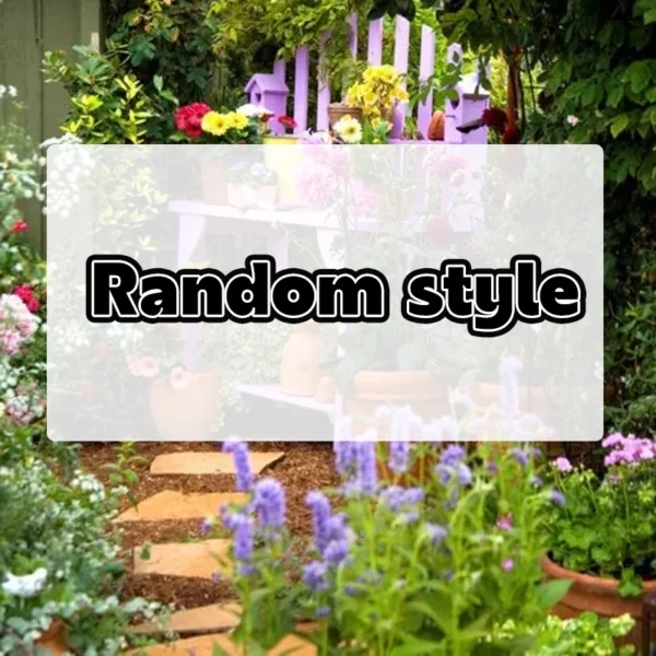 Sweet Cherry Seeds for Planting 10 seeds bag Bonsai Fruit Tree Live Plant Seed