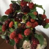 100 Original Rare Mulberry Seeds Tree Seeds for Planting 300 Seeds Per Pack