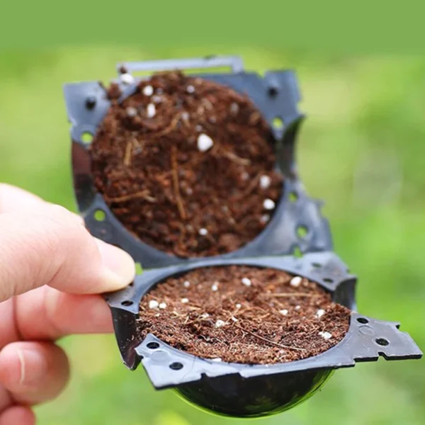 Plant Rooting Equipment High Pressure Propagation Ball Garden Graft Box