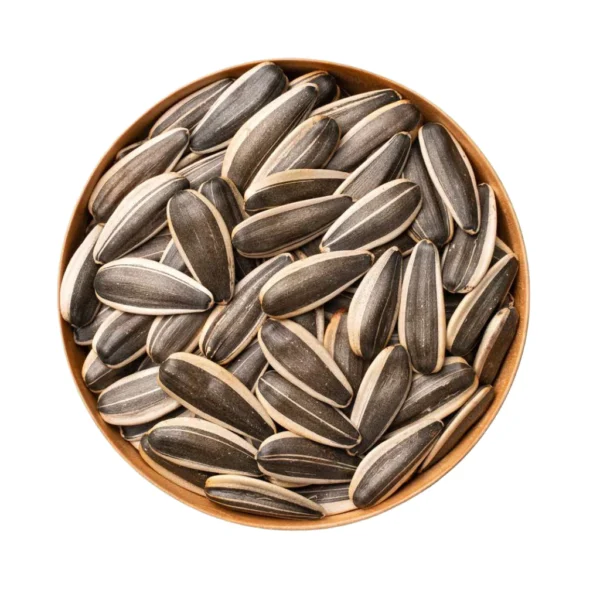 Matahari Sunflower Seeds Flower Plant Seed 20 seeds