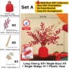 2026 Chinese New Year CNY Set Viral Set Flower Vase CNY Decor Set CNY Flower