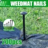 50M 100M Warna Hijau Hitam Weed Control Mat Pertanian Plastic Cover