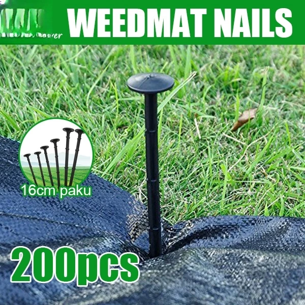 50M 100M Warna Hijau Hitam Weed Control Mat Pertanian Plastic Cover
