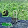 50M 100M Warna Hijau Hitam Weed Control Mat Pertanian Plastic Cover