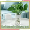 Self Absorption Plant Hydroponic Flower Pot Pasu Bunga Hidroponik Soilless Culture Bottle vase INS Decor