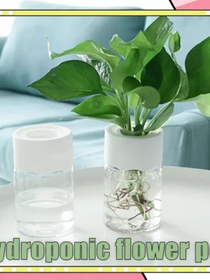 Self Absorption Plant Hydroponic Flower Pot Pasu Bunga Hidroponik Soilless Culture Bottle vase INS Decor
