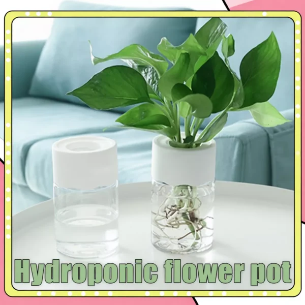Self Absorption Plant Hydroponic Flower Pot Pasu Bunga Hidroponik Soilless Culture Bottle vase INS Decor