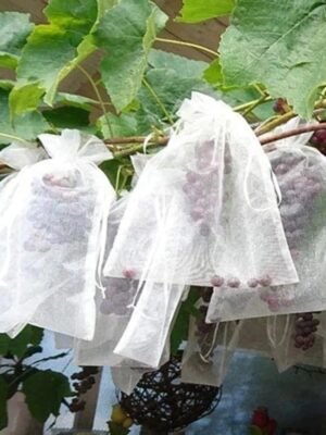 1pcs Fruit Protection Bags
