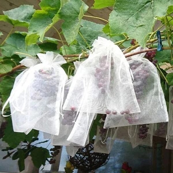 1pcs Fruit Protection Bags