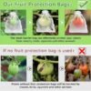 1pcs Fruit Protection Bags