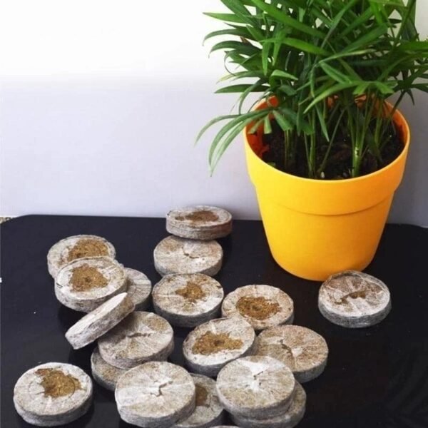 1pcs Seed Peat Pallet