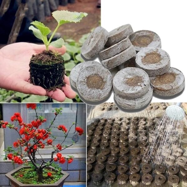 1pcs Seed Peat Pallet